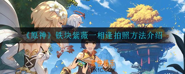 原神铁块紫薇一相逢怎么拍照_铁块紫薇一相逢拍照方法介绍