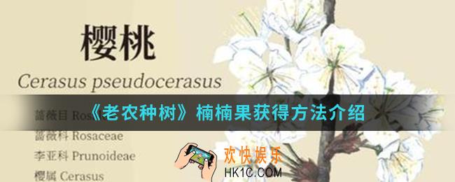 老农种树楠楠果怎么得_楠楠果获得方法