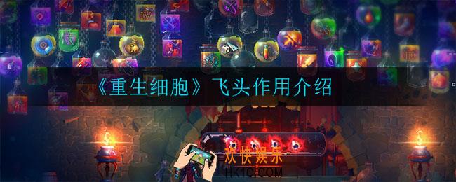 重生细胞飞头有什么用_飞头作用介绍