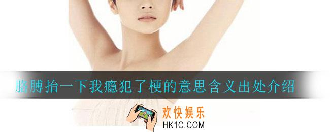 胳膊抬一下我瘾犯了是什么意思_胳膊抬一下我瘾犯了梗的意思含义出处介绍