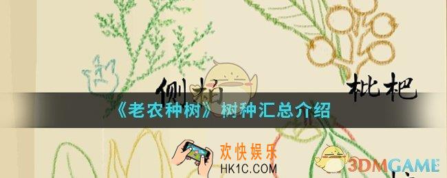 老农种树有哪些树种_树种汇总