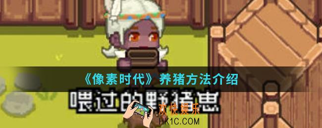 像素时代怎么养猪_养猪方法