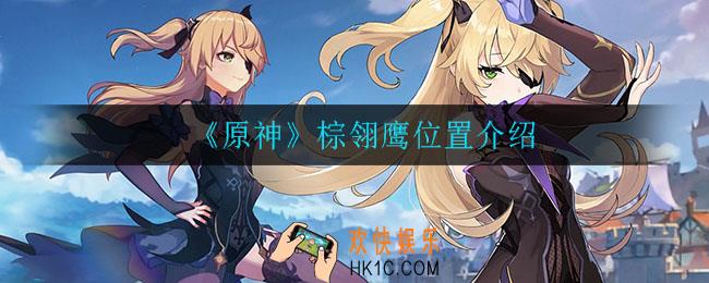 原神棕翎鹰在哪_棕翎鹰位置介绍