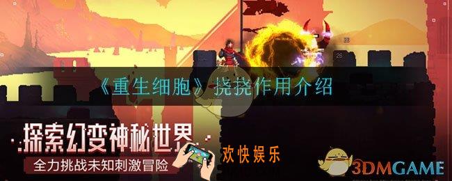 重生细胞挠挠有什么用_挠挠作用介绍