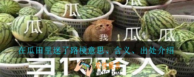 在瓜田里迷了路梗_在瓜田里迷了路梗意思、含义、出处介绍