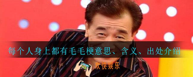 每个人身上都有毛毛_每个人身上都有毛毛梗意思、含义、出处介绍