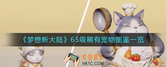 梦想新大陆65级宠物有哪些_65级稀有宠物图鉴一览