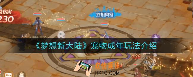 梦想新大陆宠物多少级成年_梦想新大陆宠物成年怎么玩
