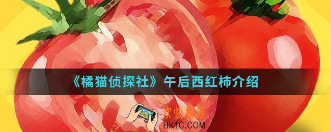 橘猫侦探社午后西红柿怎么样_午后西红柿