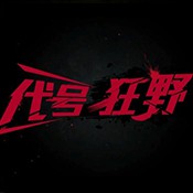 代号狂野