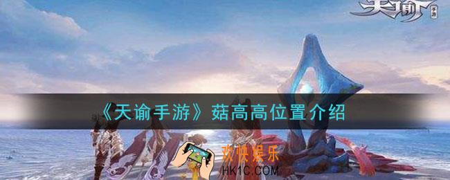 天谕手游菇高高在哪里_菇高高位置介绍