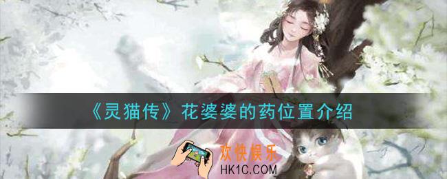 灵猫传花婆婆的药在哪里_花婆婆的药位置介绍