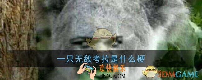 一只无敌考拉是什么梗_无敌的考拉追着你打梗含义出处