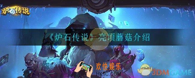 炉石传说亮顶蘑菇怎么样_亮顶蘑菇介绍