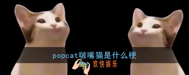 popcat是什么梗_popcat啵嘴猫含义出处