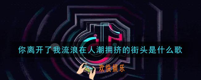 你离开了我流浪在人潮拥挤的街头是什么歌_你离开了我流浪在人潮拥挤的街头歌曲信息介绍