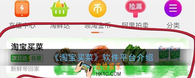淘宝买菜的软件叫什么_淘宝买菜平台在哪里