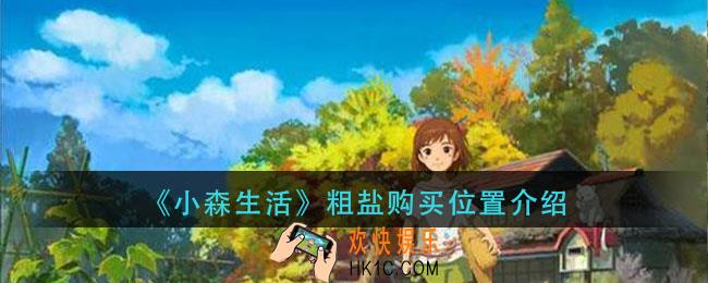 小森生活粗盐在哪买_粗盐购买位置介绍