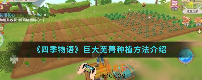 四季物语巨大芜菁怎么种植_巨大芜菁种植方法