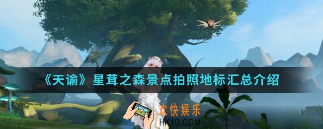 天谕星茸之森景点在哪拍照_星茸之森景点拍照地标汇总