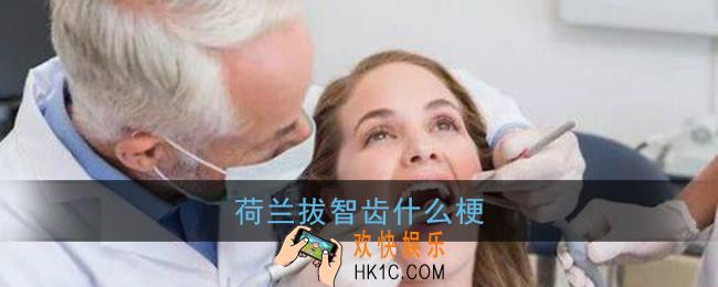 荷兰拔智齿什么梗_荷兰拔智齿梗含义出处