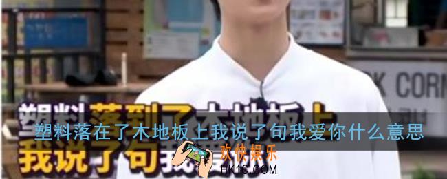 塑料落到了木地板上什么意思_塑料落在了木地板上我说了句我爱你梗含义出处