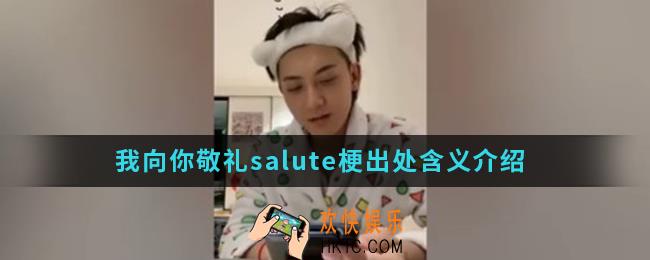 我向你敬礼salute是什么梗_我向你敬礼salute梗出处含义