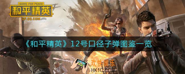 和平精英12号口径子弹图鉴一览_和平精英12号口径子弹怎么样