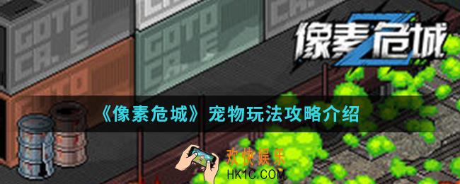 像素危城宠物怎么玩_宠物玩法攻略