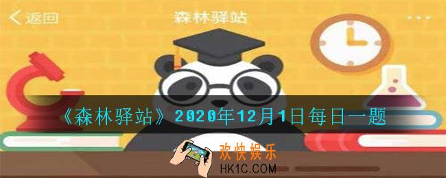 大熊猫的耳朵是什么颜色_2020年12月1日每日一题