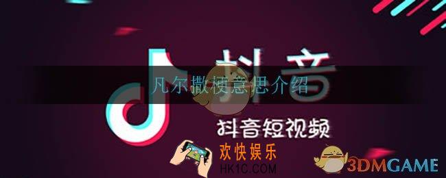 凡尔撒是什么意思_凡尔撒是什么梗