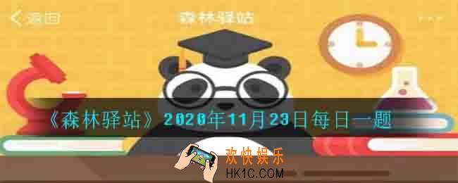 白兔的眼睛为什么是红色_2020年11月23日每日一题