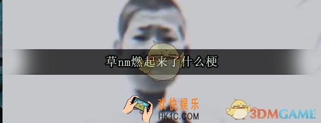 草nm燃起来了什么梗_草nm燃起来了是什么意思