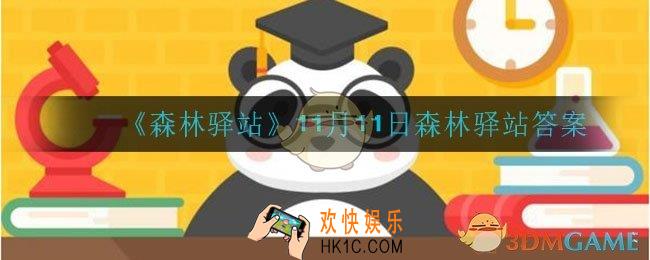 11月11日森林驿站答案是什么_11月11日森林驿站答案