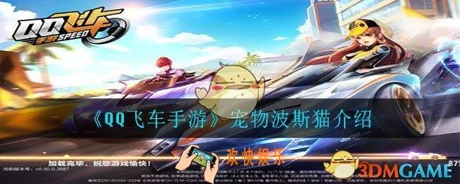 qq飞车手游波斯猫怎么样_宠物波斯猫介绍