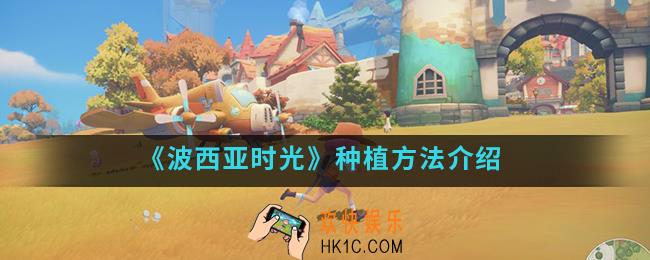 波西亚时光怎么种植_种植方法