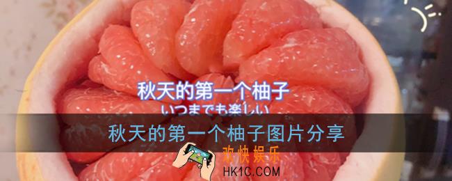 秋天的第一个柚子图片大全_抖音秋天第一个柚子图片分享
