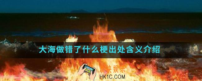 大海做错了什么是什么梗_大海做错了什么梗出处含义