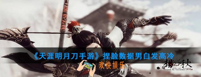 天涯明月刀手游捏脸数据男白发高冷有多少种类_捏脸数据男白发高冷