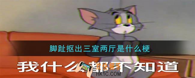 脚趾抠出三室两厅是什么梗_脚趾抠出三室两厅意思介绍