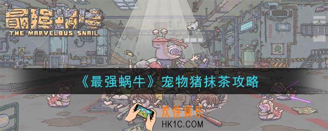最强蜗牛怎么喂宠物猪抹茶_宠物猪抹茶攻略
