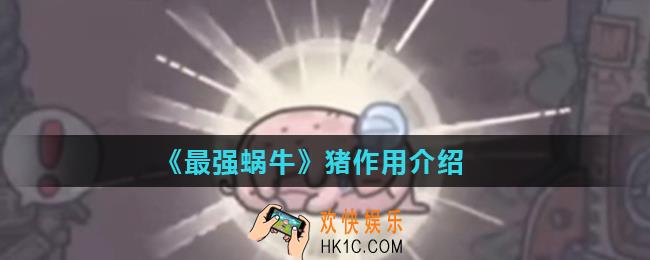 最强蜗牛猪有什么用_猪作用介绍