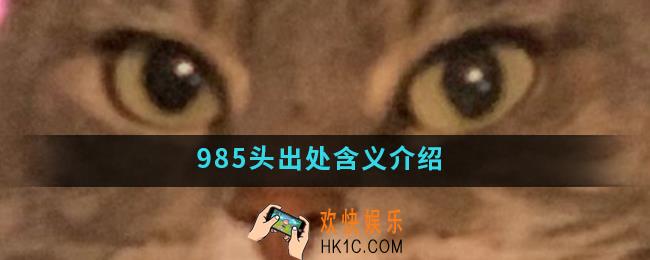 985头是什么梗_985头出处含义