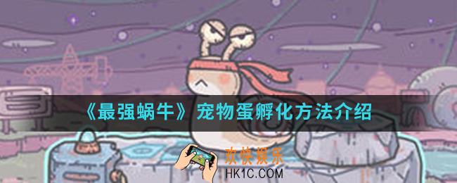 最强蜗牛宠物蛋怎么孵化_宠物蛋孵化方法