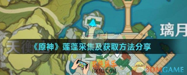 原神莲蓬哪里最多_莲蓬采集及获取方法分享