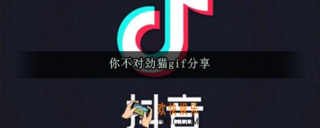 你不对劲猫gif_你不对劲猫表情包
