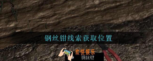 孙美琪疑案周芳钢丝钳在哪里_周芳dlc攻略线索钢丝钳获取位置