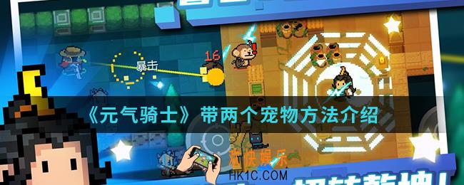 元气骑士怎么带两个宠物_带两个宠物方法