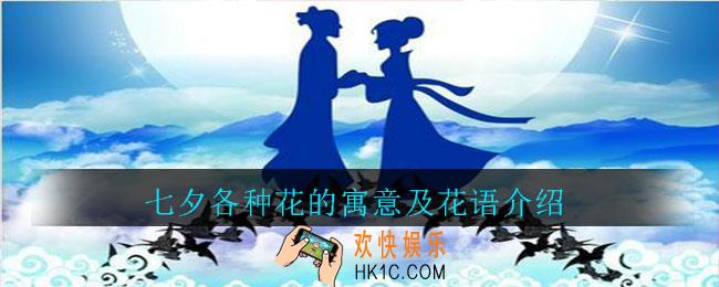 七夕送花送多少朵_七夕各种花的寓意及花语介绍