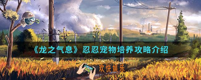 龙之气息忍忍宠物怎么培养_忍忍宠物培养攻略